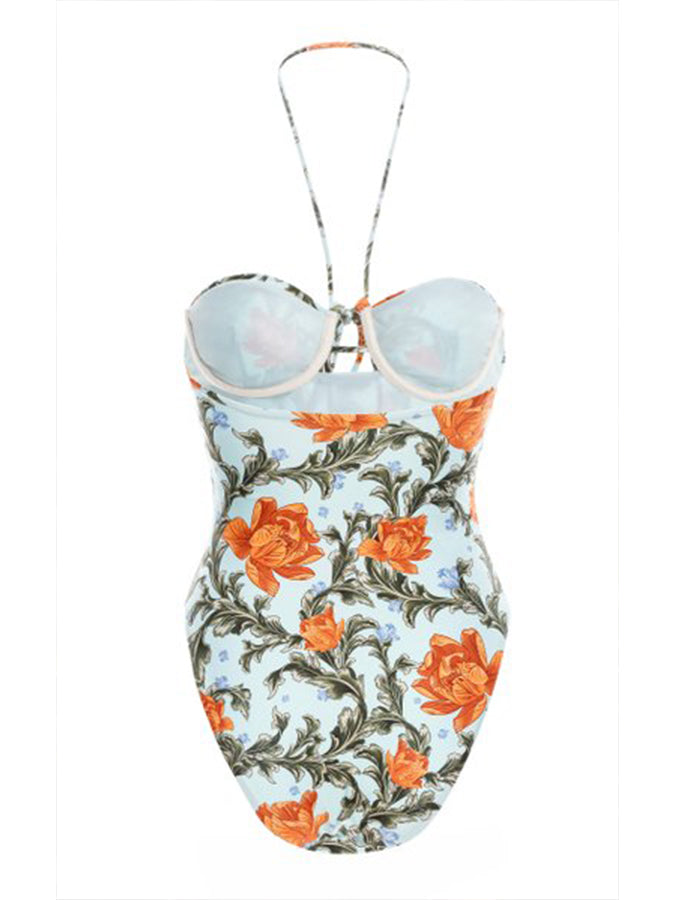 Printed Halterneck One-piece Swimsuits And Cover-ups