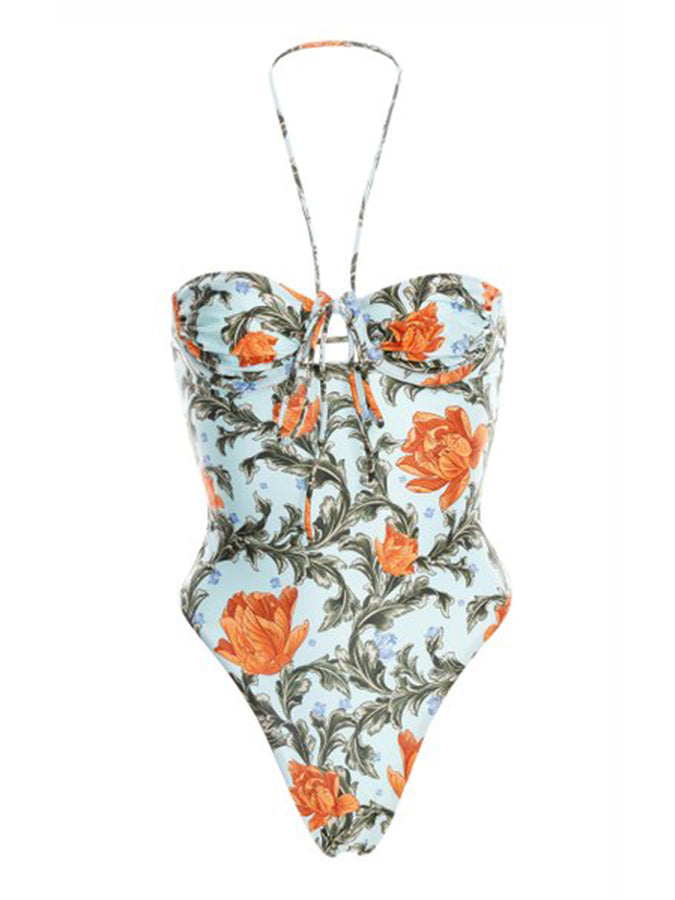 Printed Halterneck One-piece Swimsuits And Cover-ups