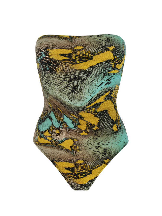 Vintage Snake Print One-Piece Swimsuit And Cover up