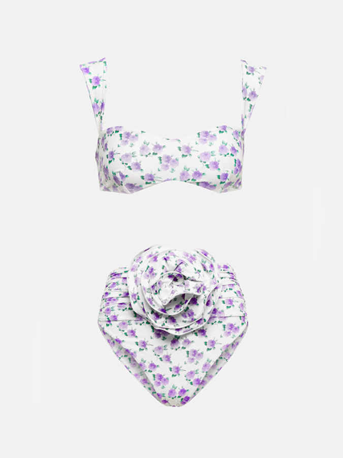 Rose Floral Print Rose Decoration Bikini And Cover up