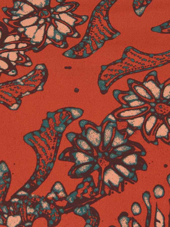 Fashion Print Bikini and Cover Up