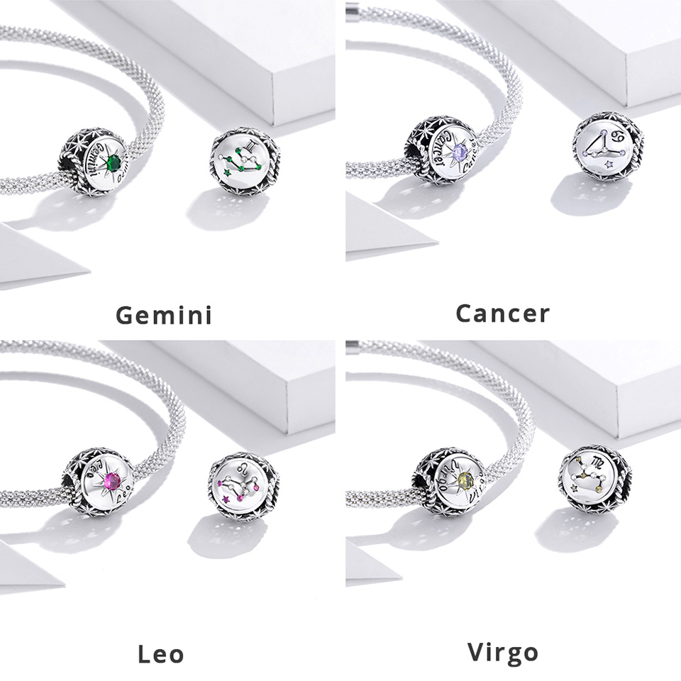 Astrology Constellation Horoscope Charms