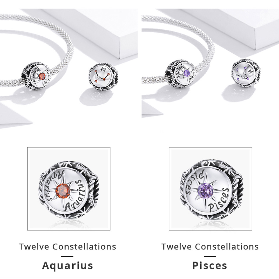 Astrology Constellation Horoscope Charms