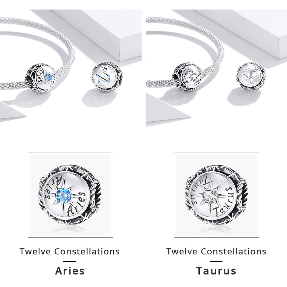 Astrology Constellation Horoscope Charms