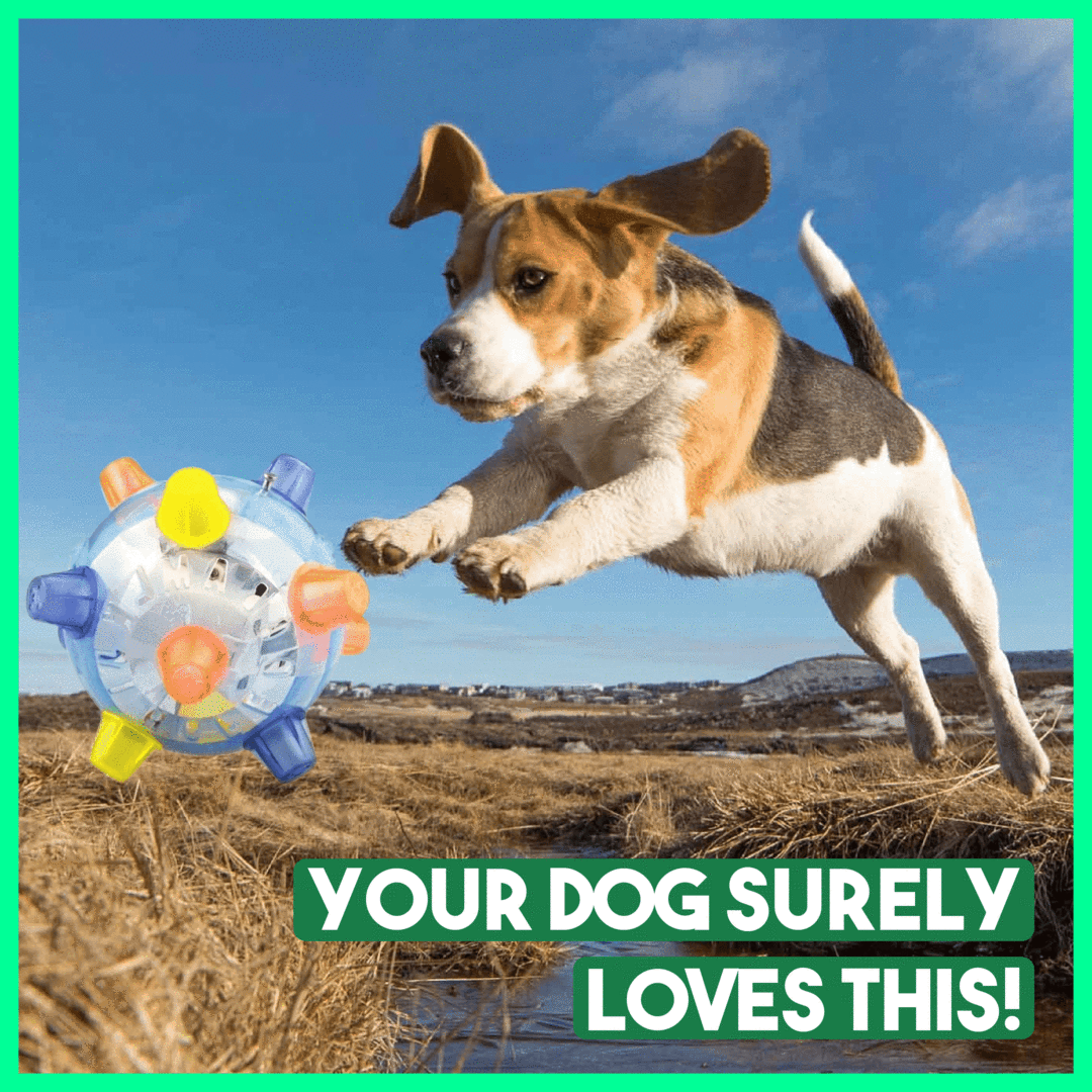 🔥BIG SALE - 50% OFF🔥Jumping Activation Ball for Dogs🐶🥎 BUY 2 GET 1
