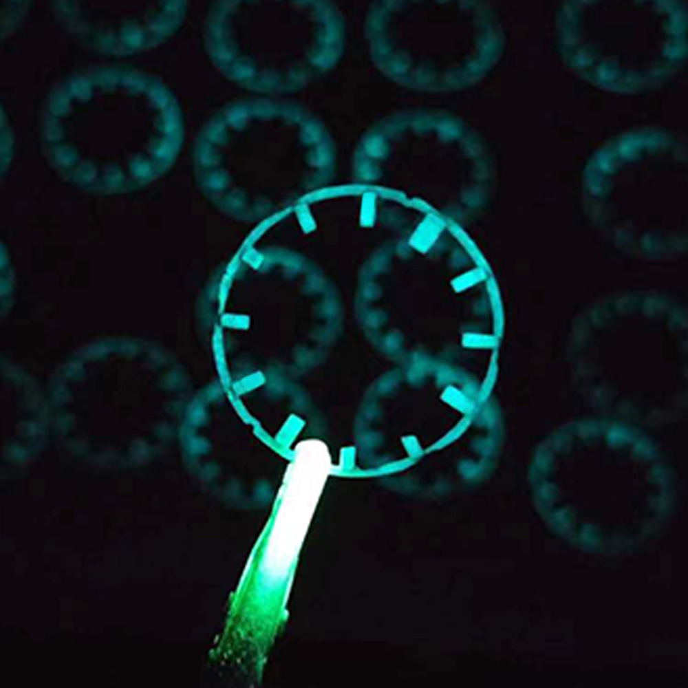 Chapter Ring and Hour Marker for GA-2100/2110 & GMA-S2100 Series