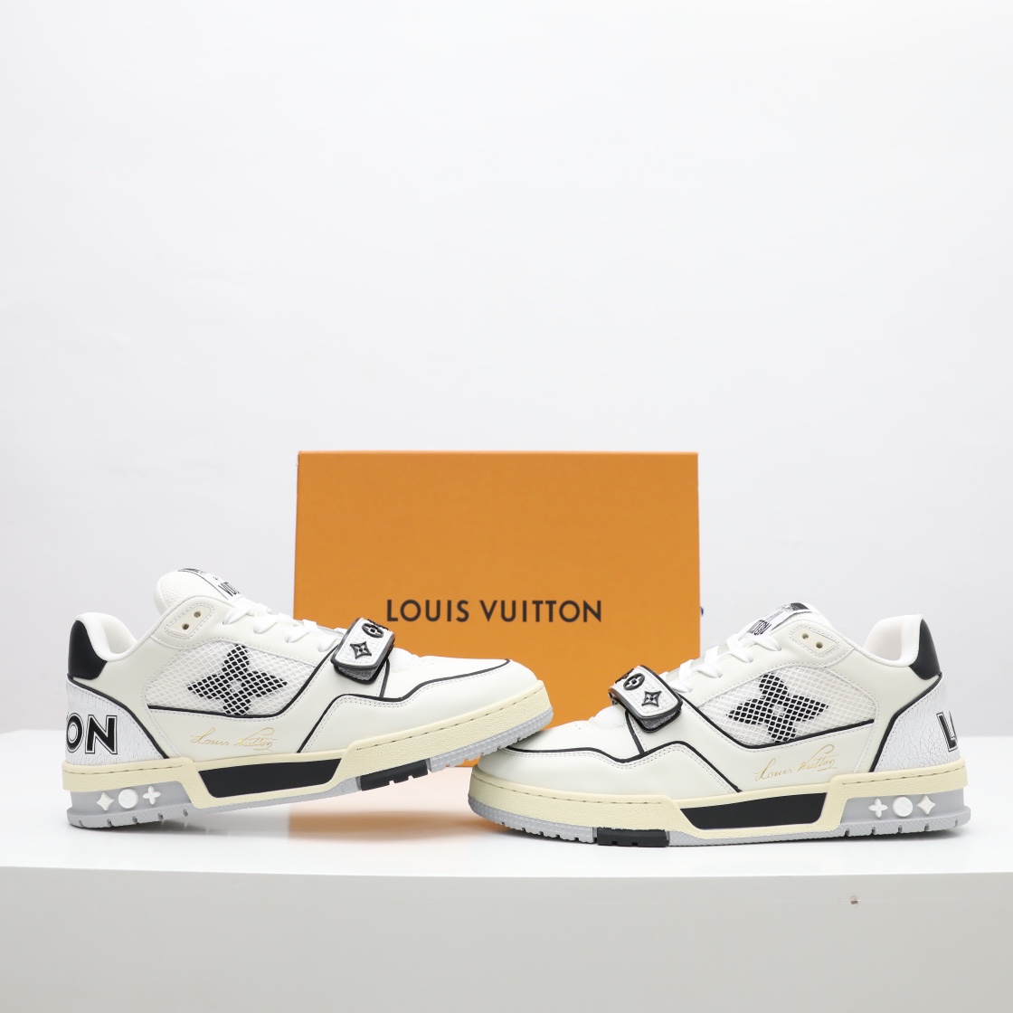 LV TRAINER