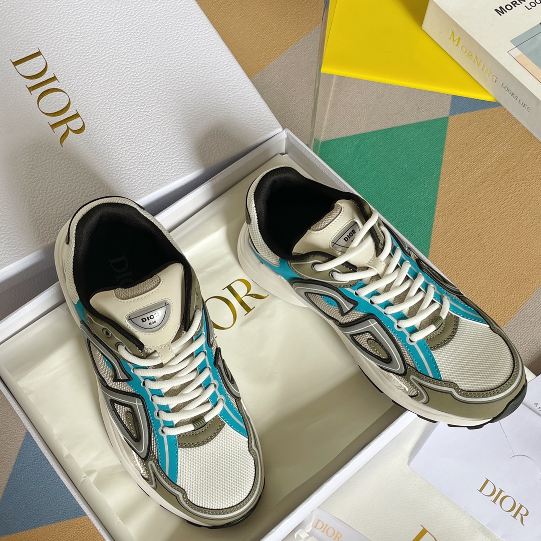 DIOR B30