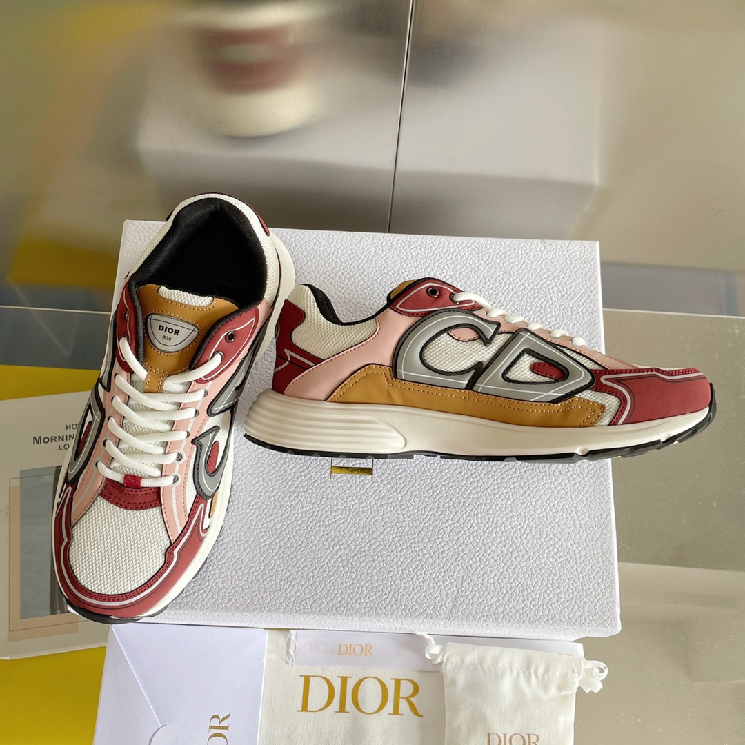 DIOR B30