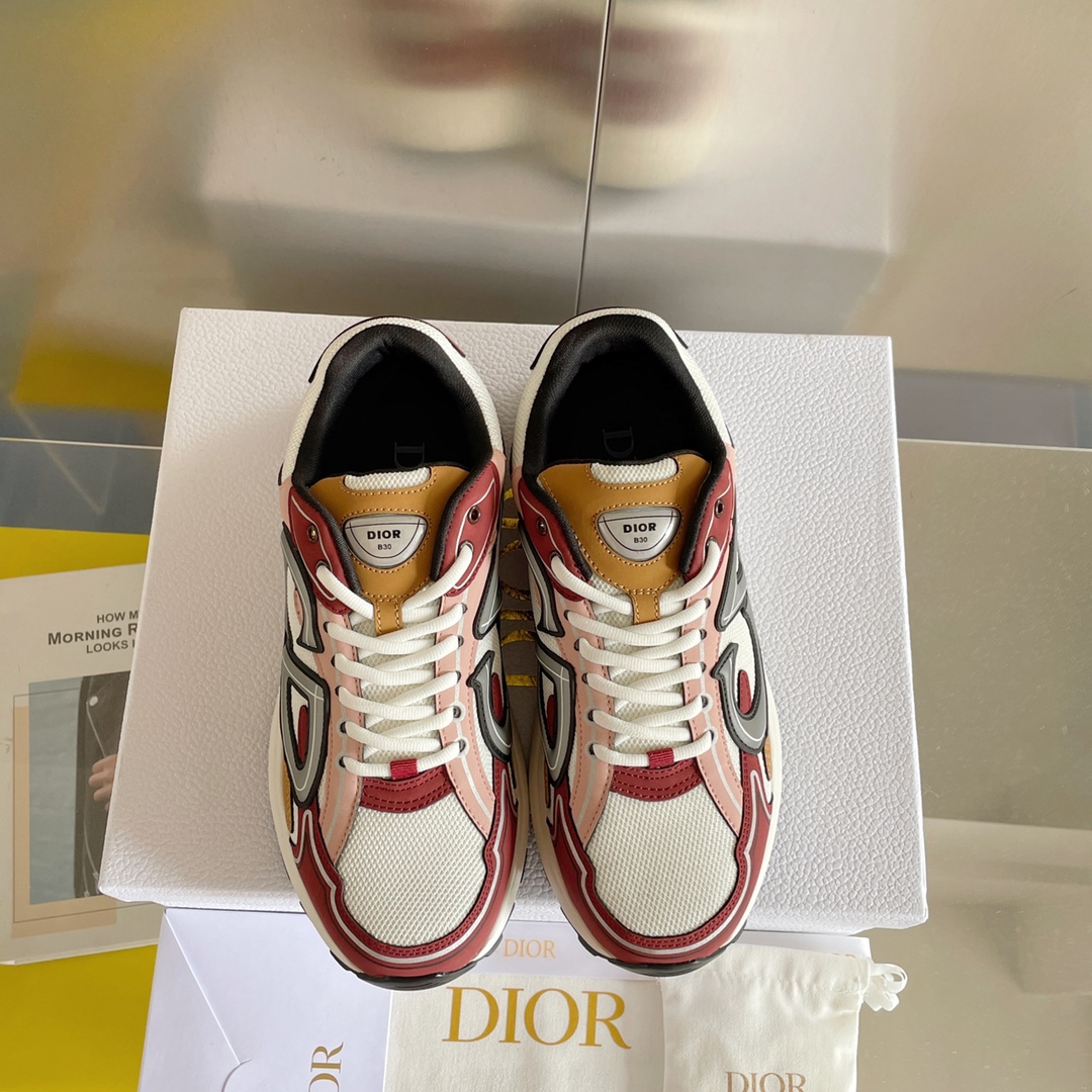 DIOR B30