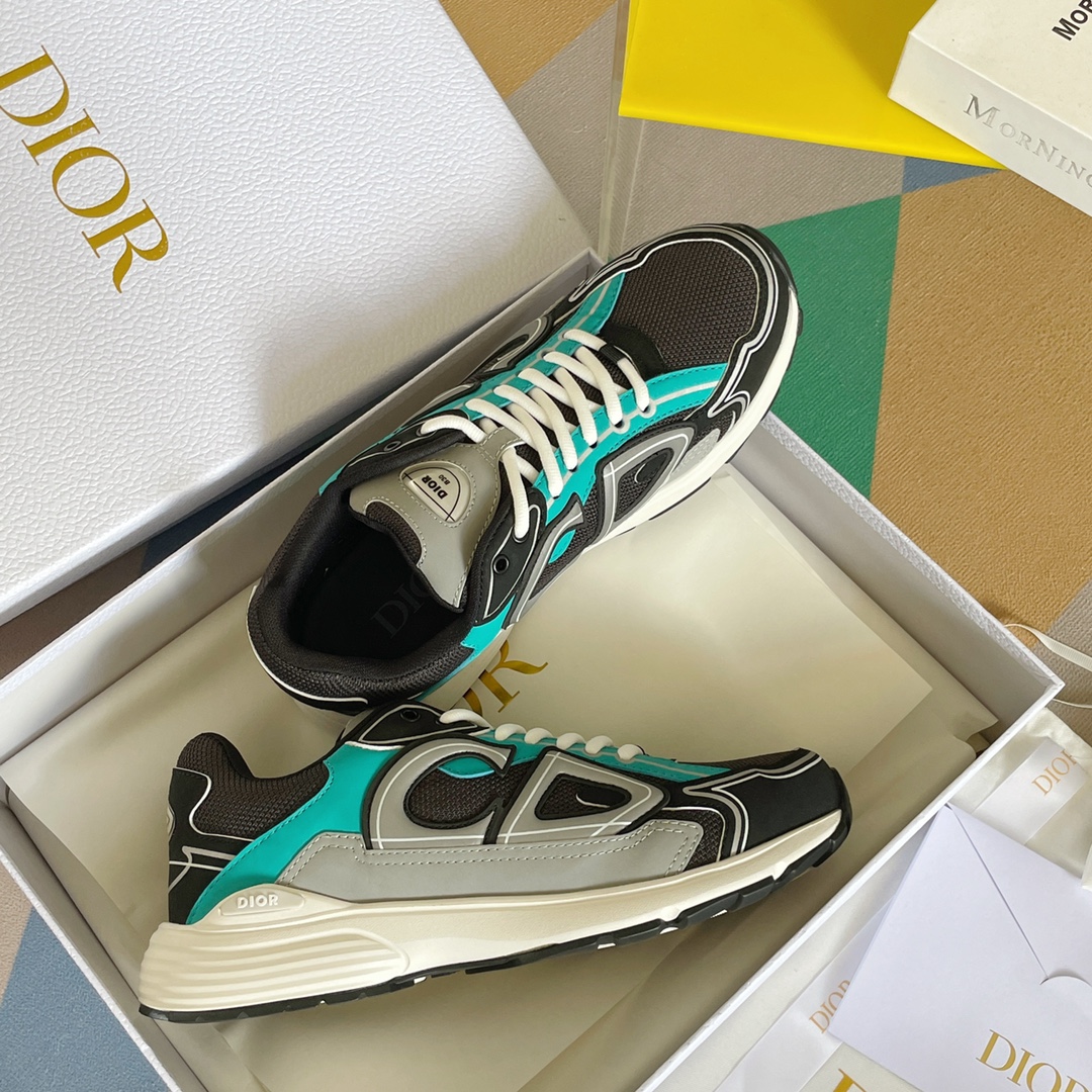 DIOR B30