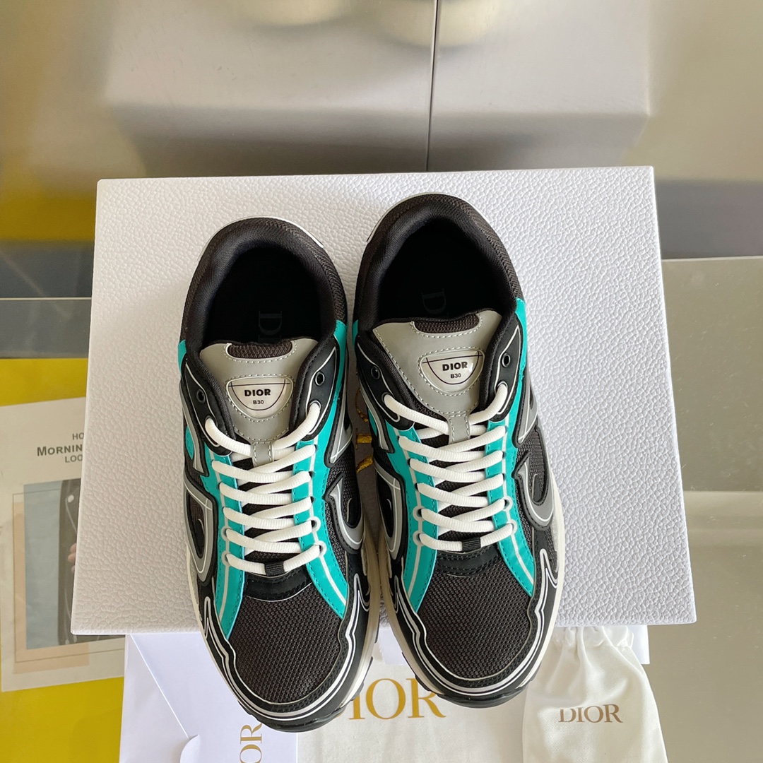 DIOR B30