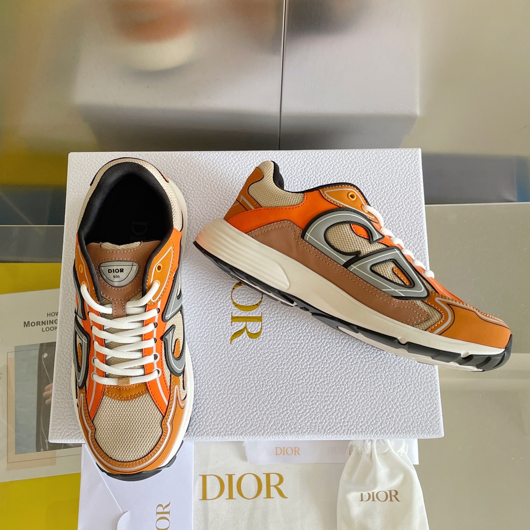 DIOR B30