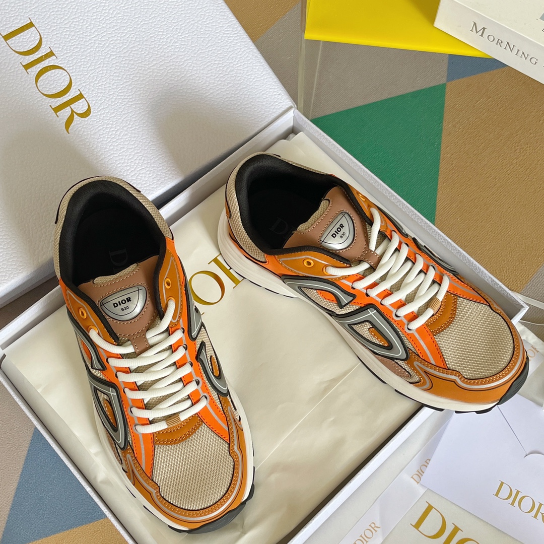 DIOR B30