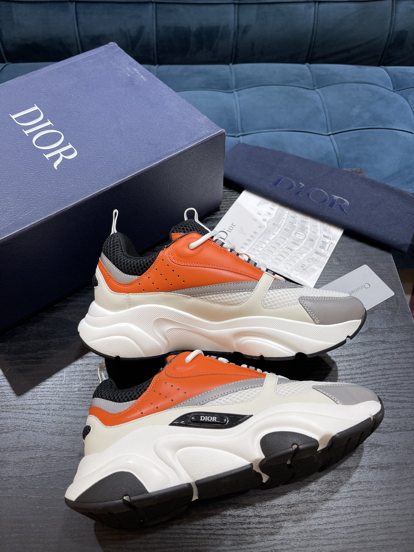 DIOR B22