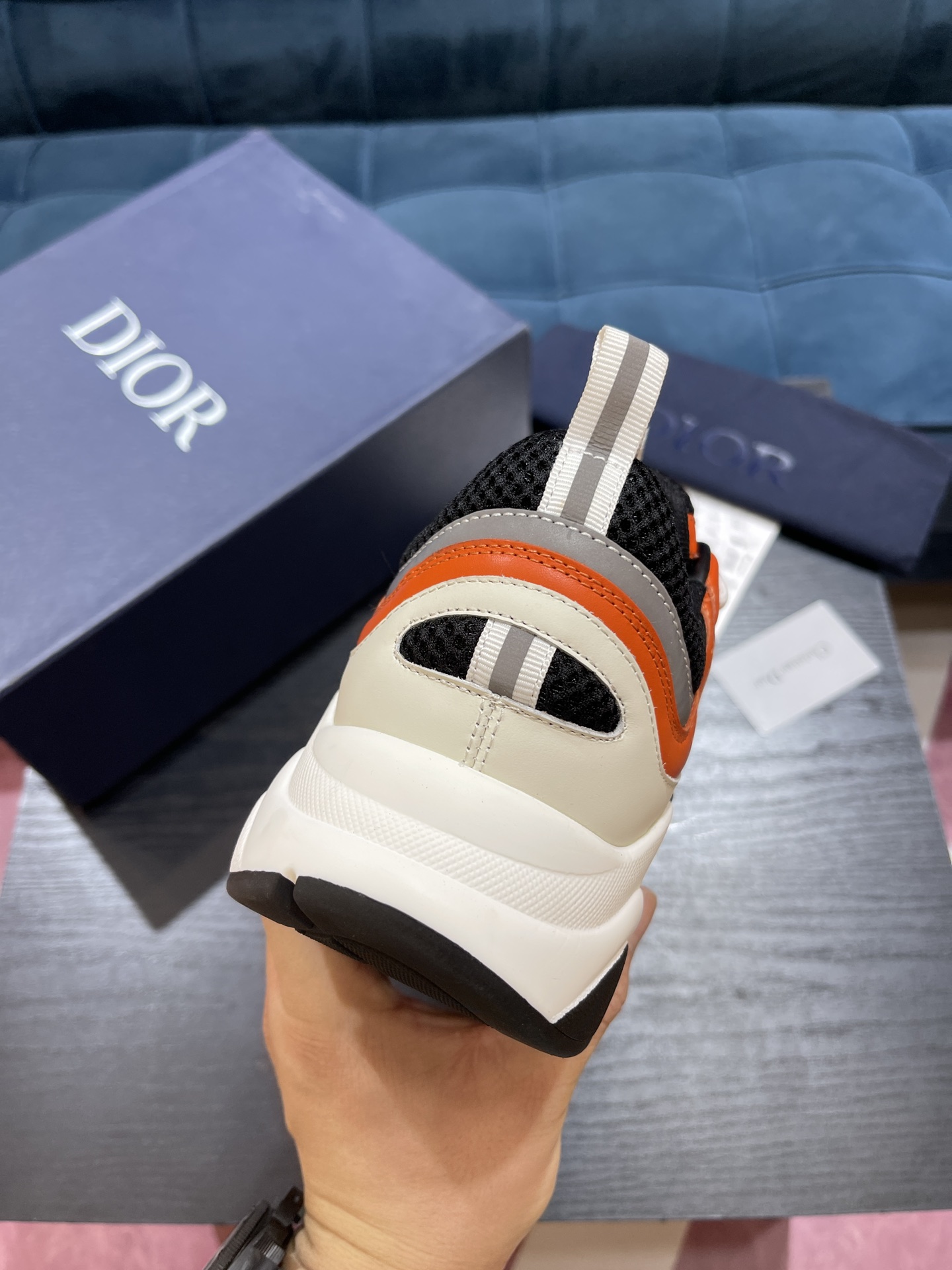 DIOR B22