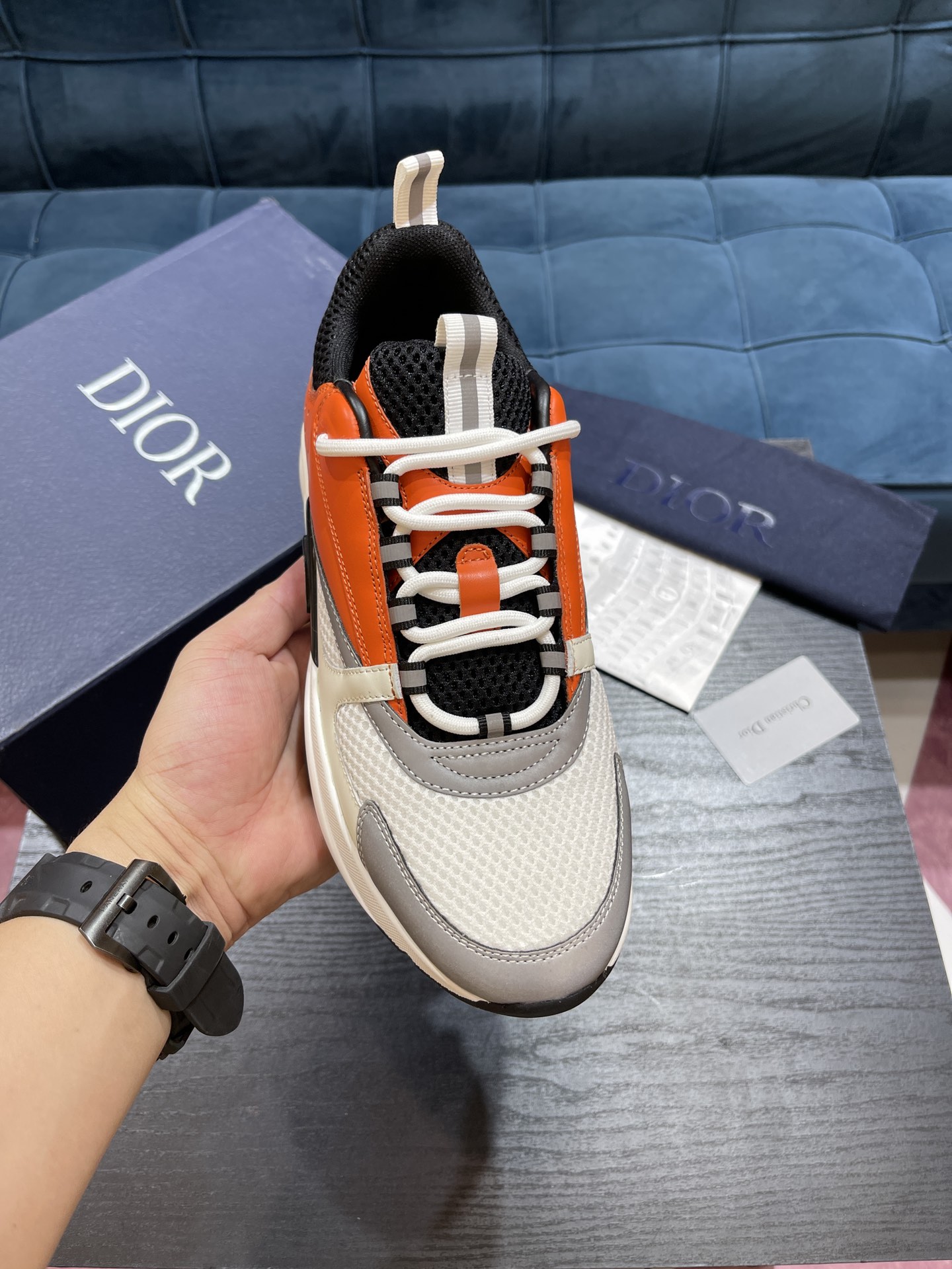 DIOR B22