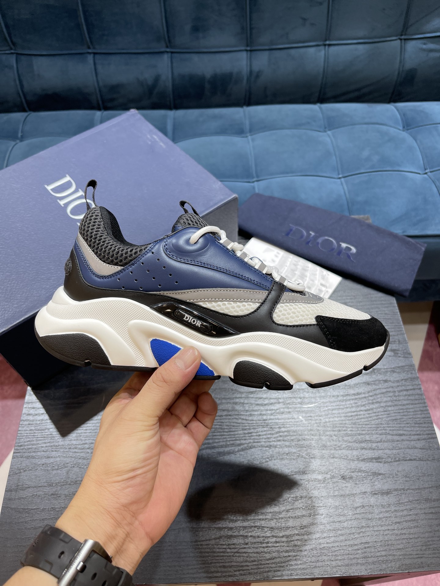 DIOR B22
