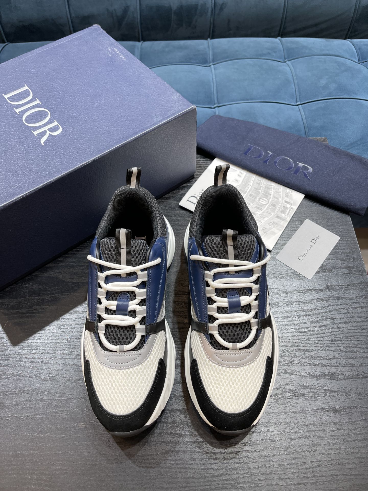 DIOR B22
