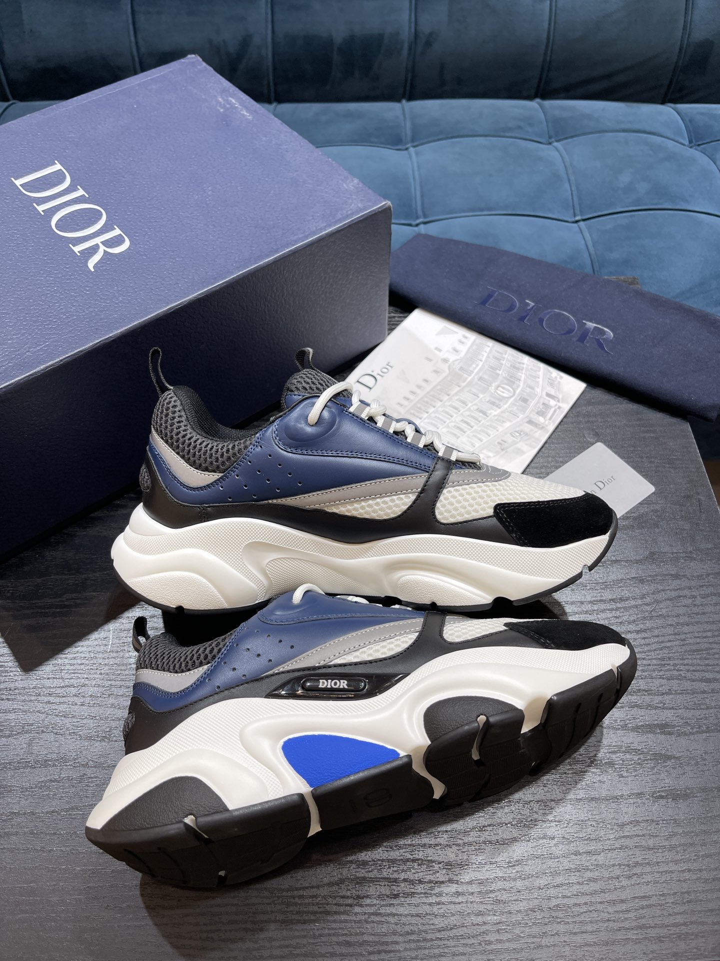 DIOR B22
