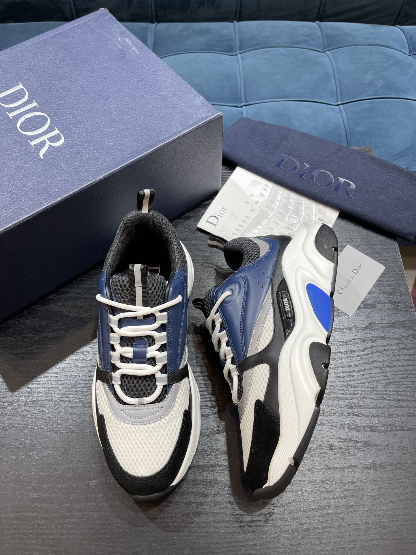 DIOR B22