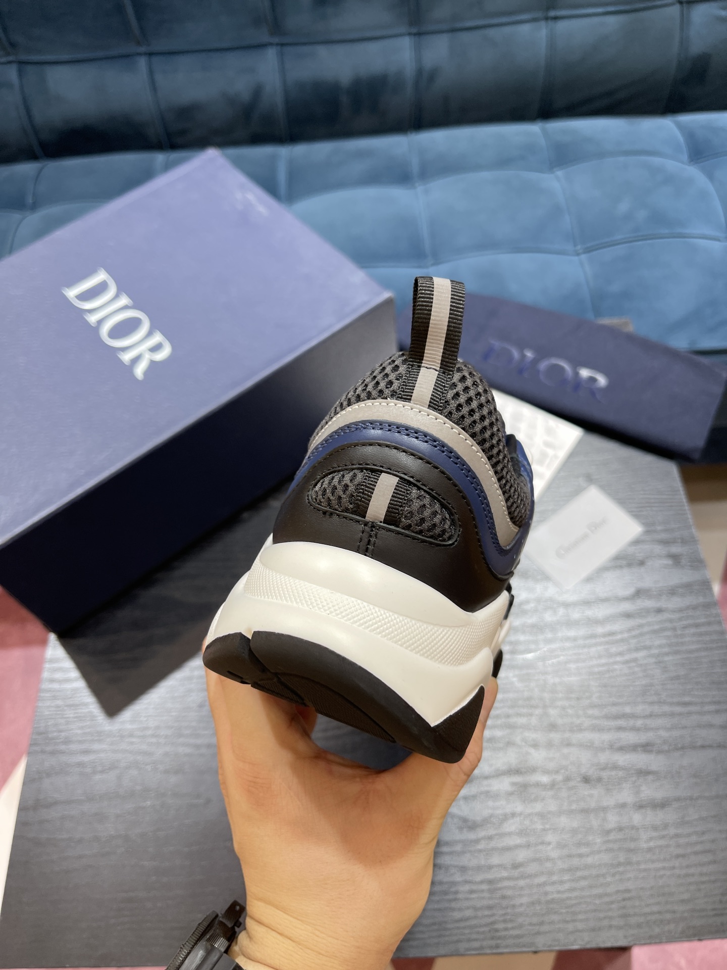 DIOR B22