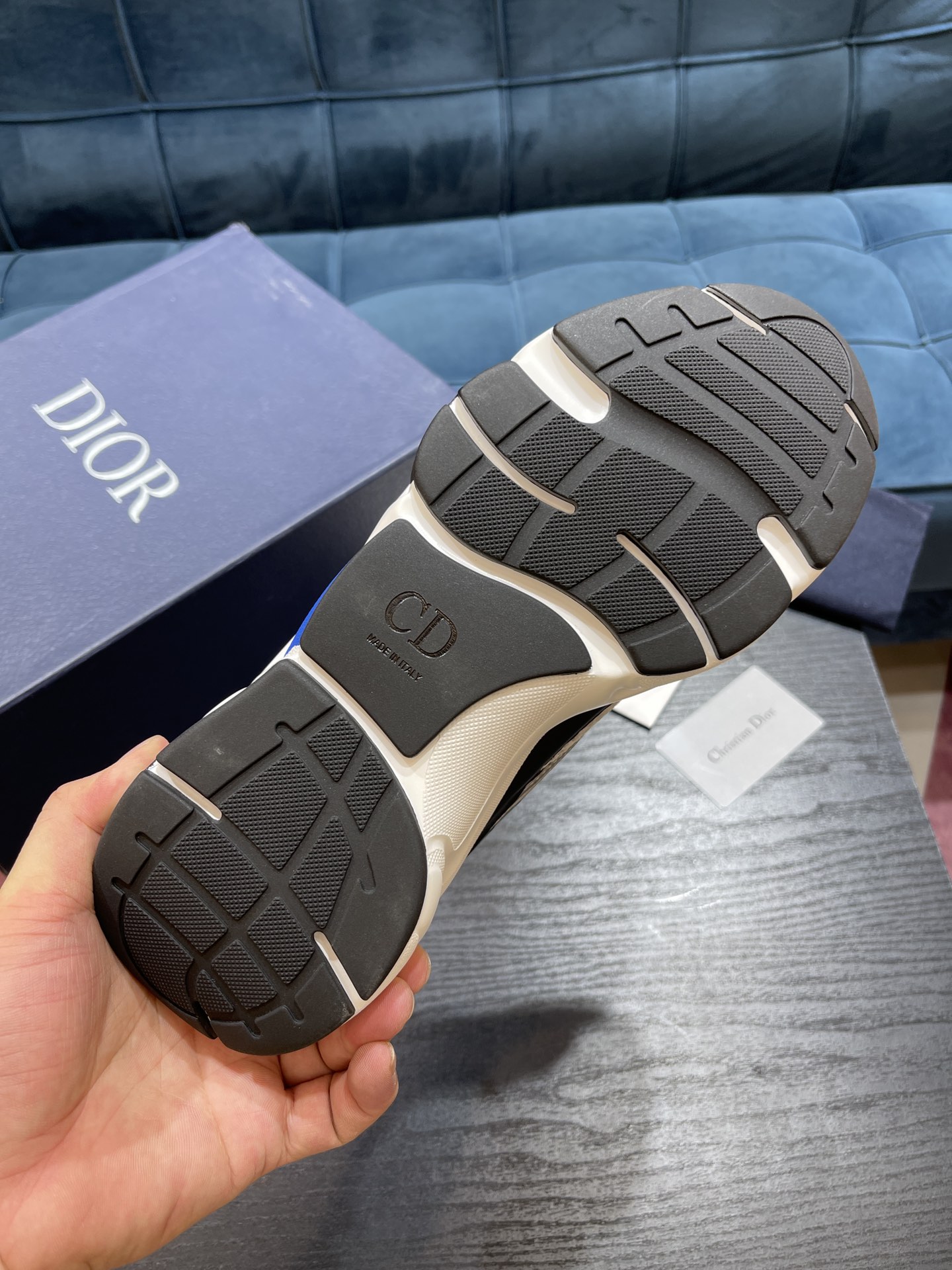 DIOR B22
