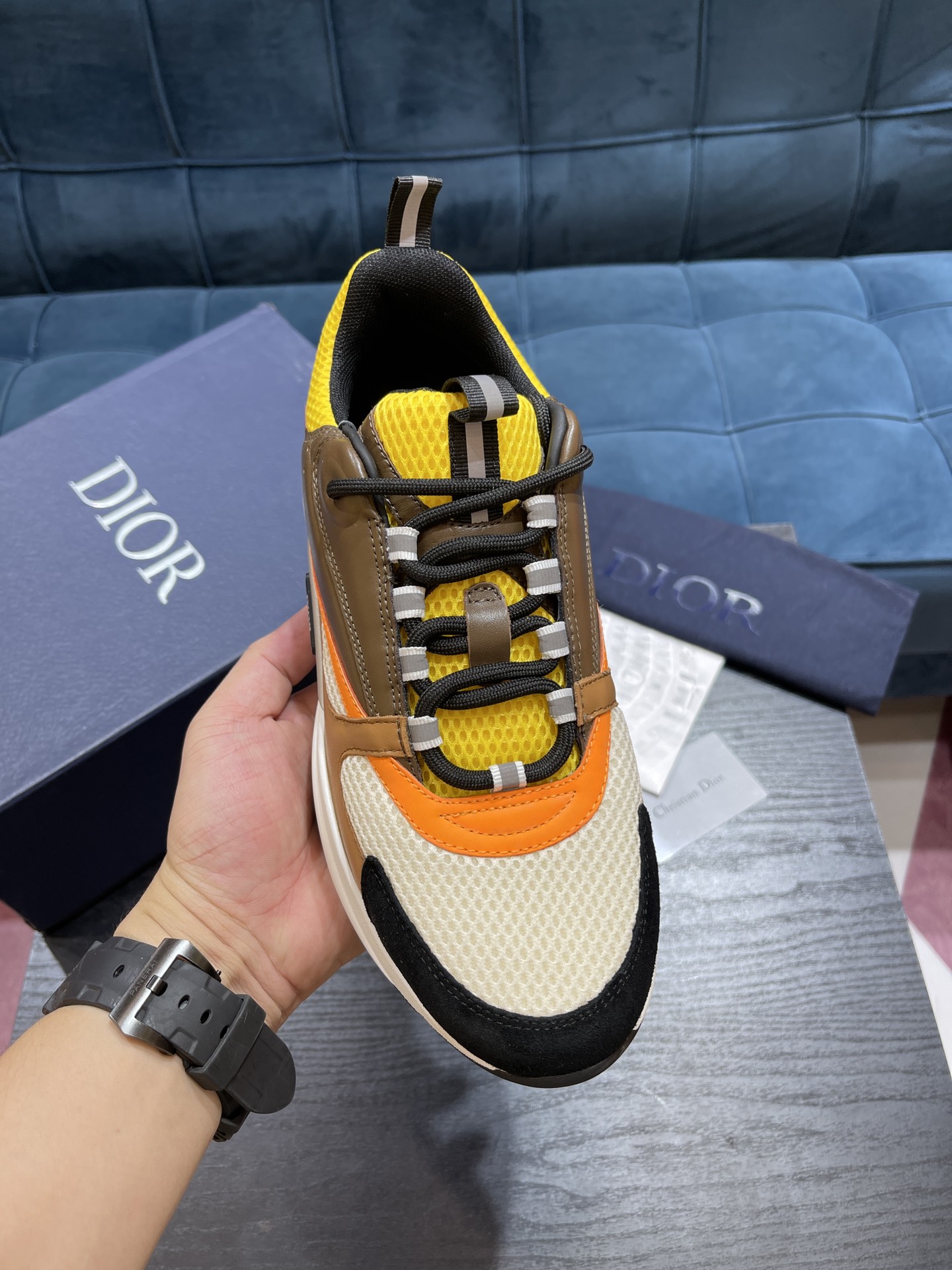 DIOR B22