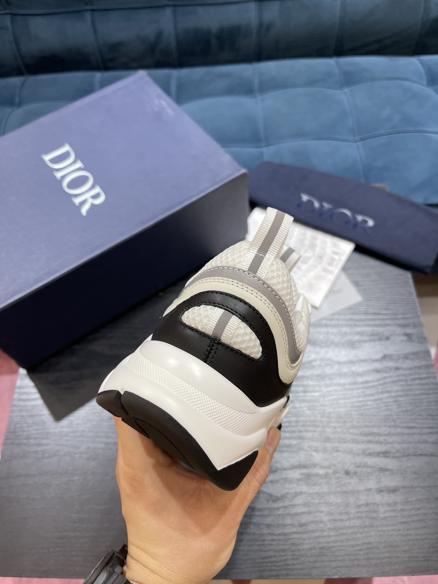 DIOR B22
