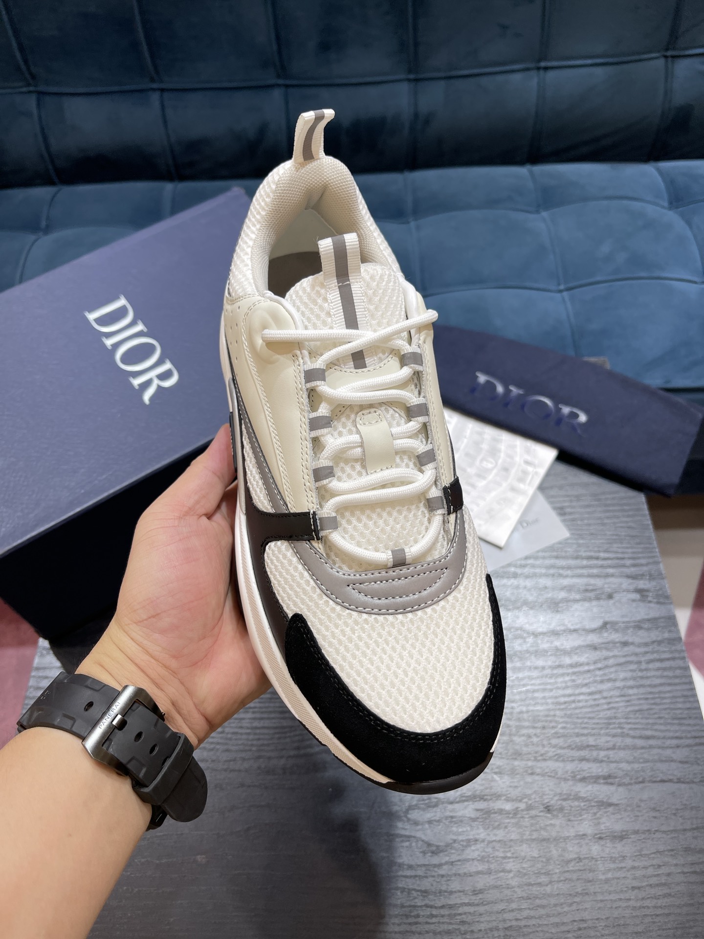 DIOR B22
