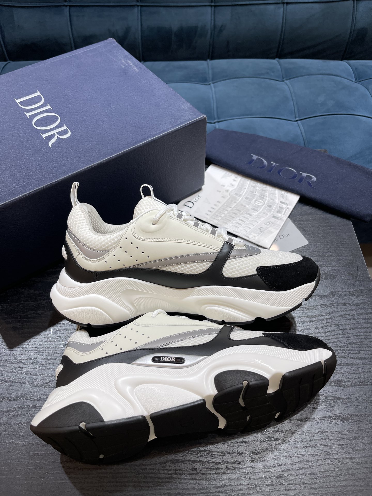 DIOR B22
