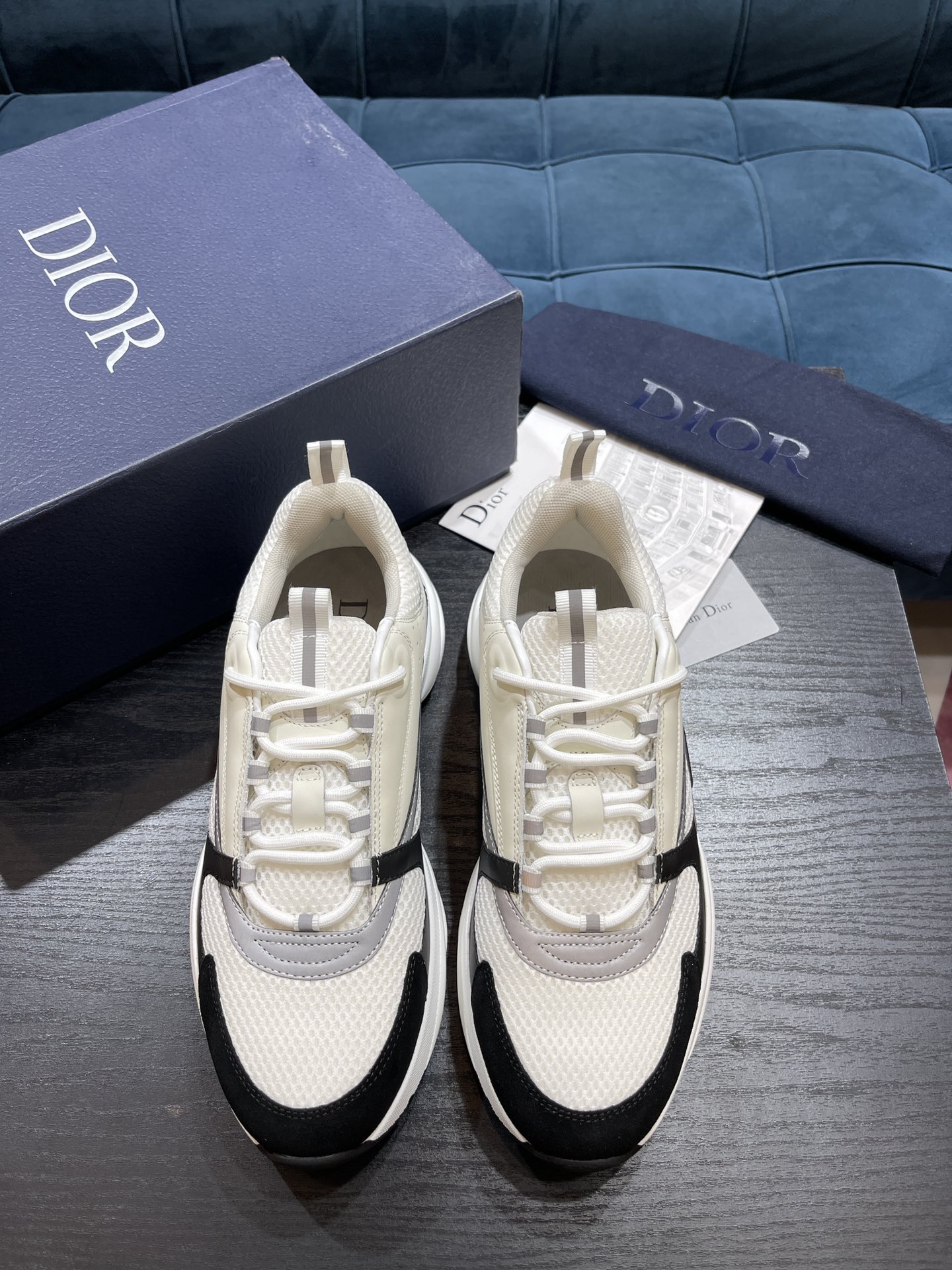 DIOR B22