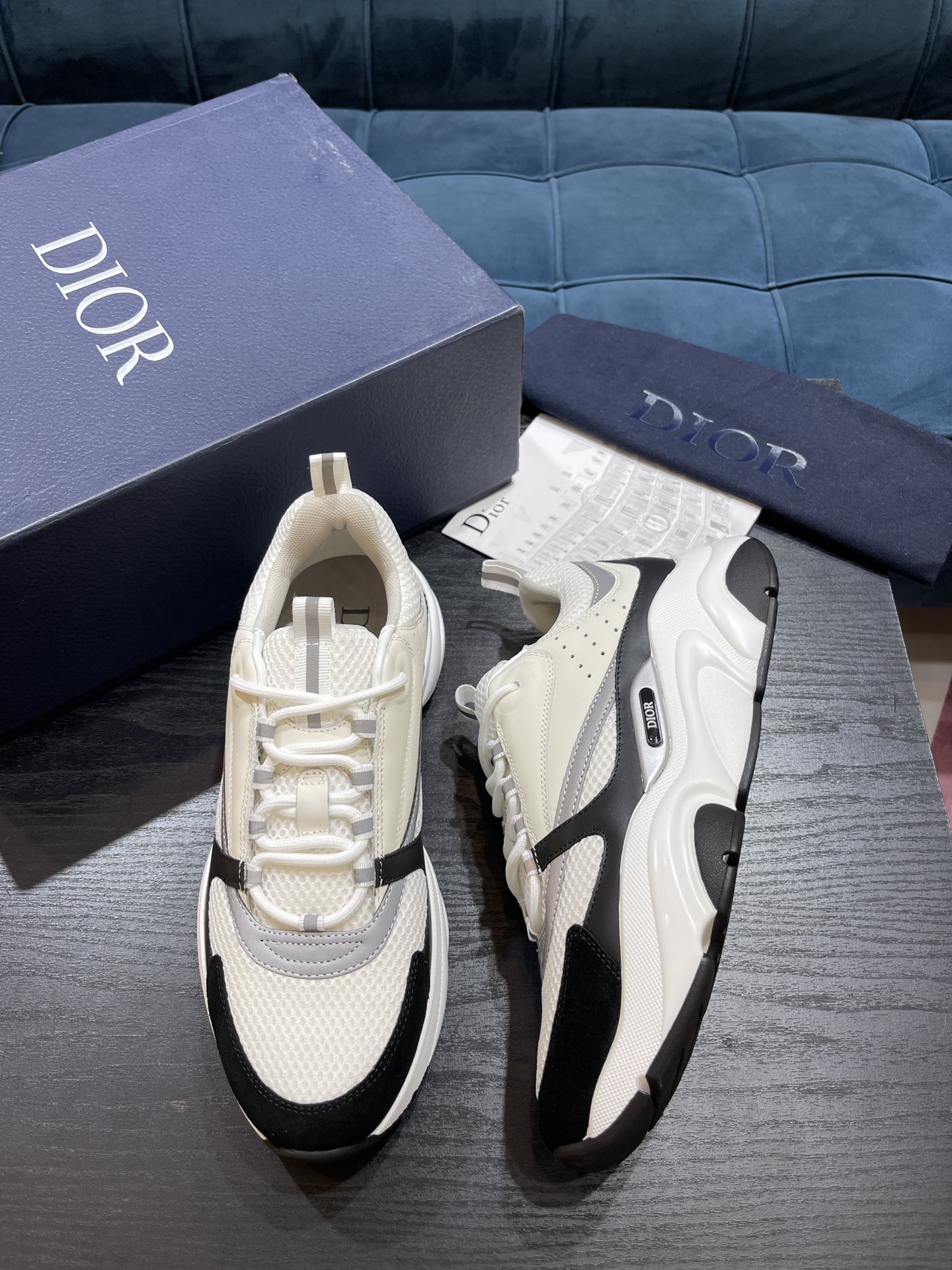 DIOR B22