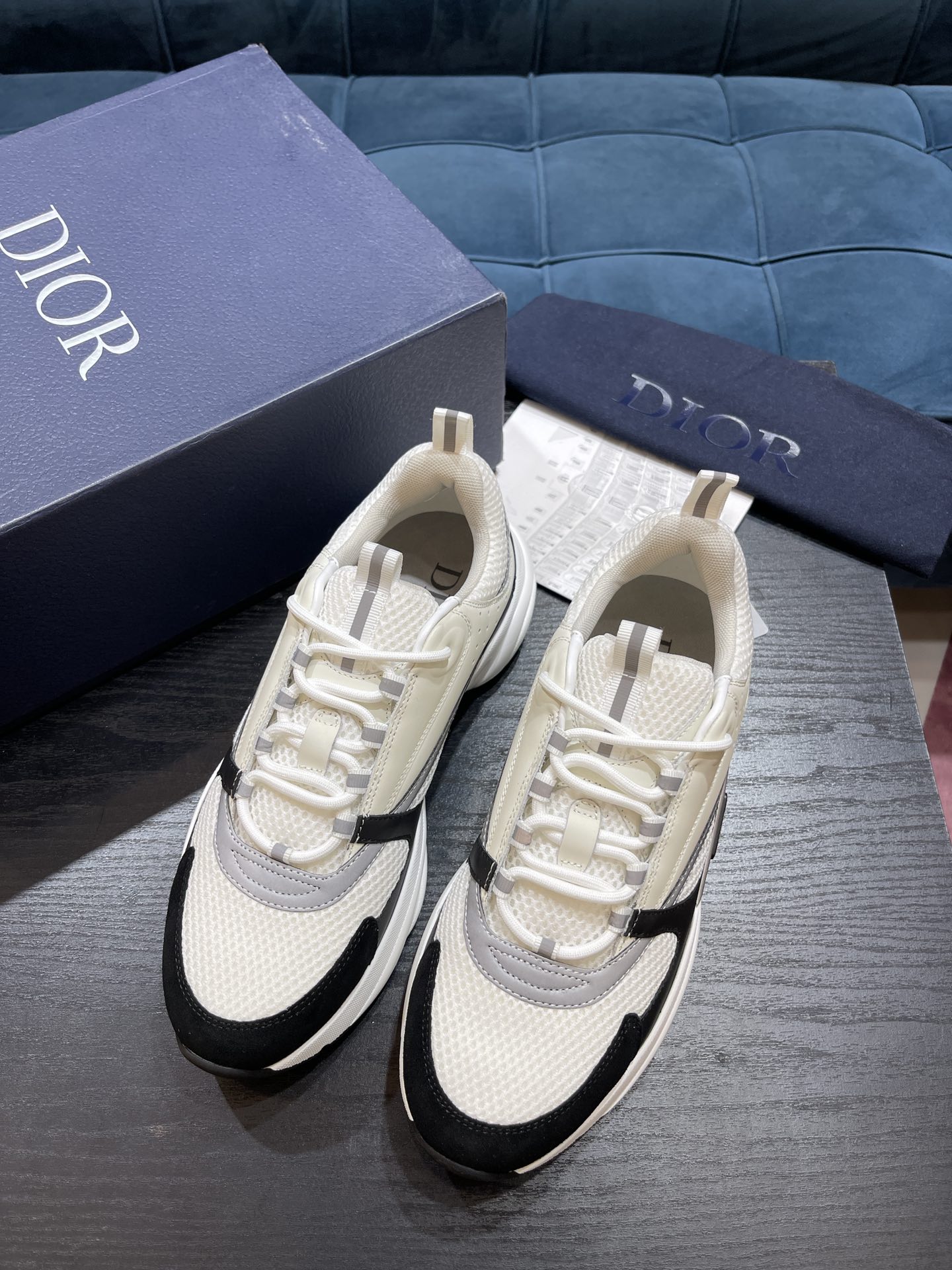 DIOR B22