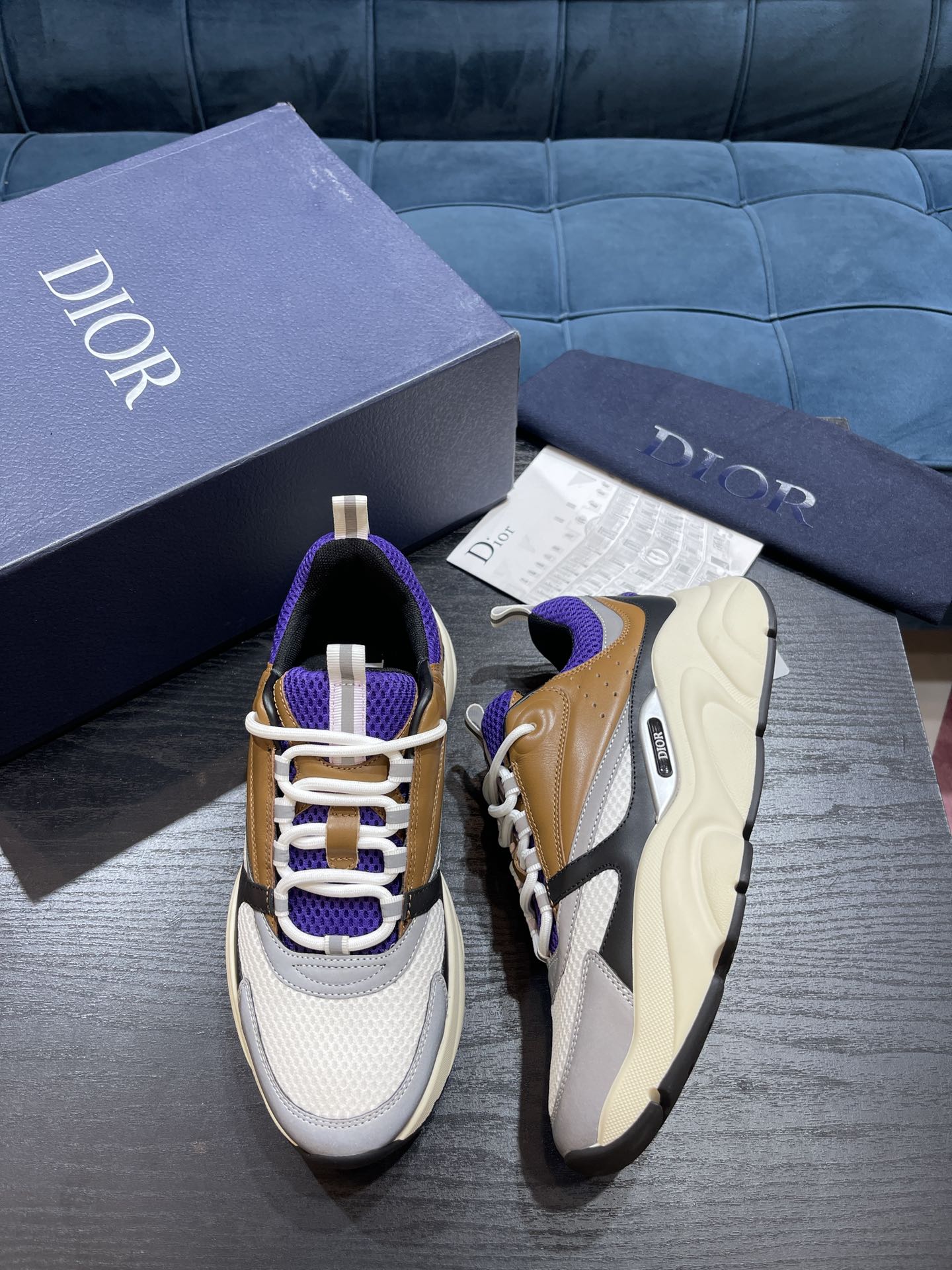 DIOR B22