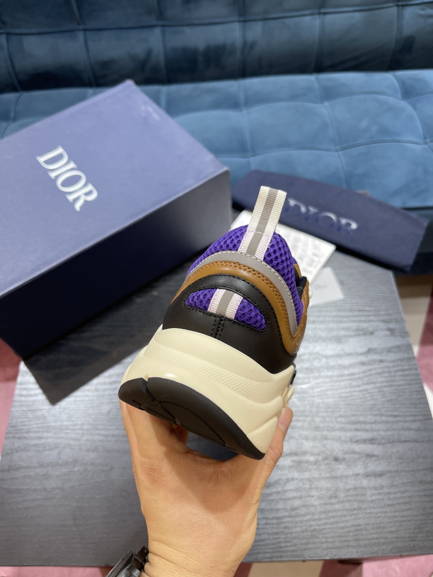 DIOR B22
