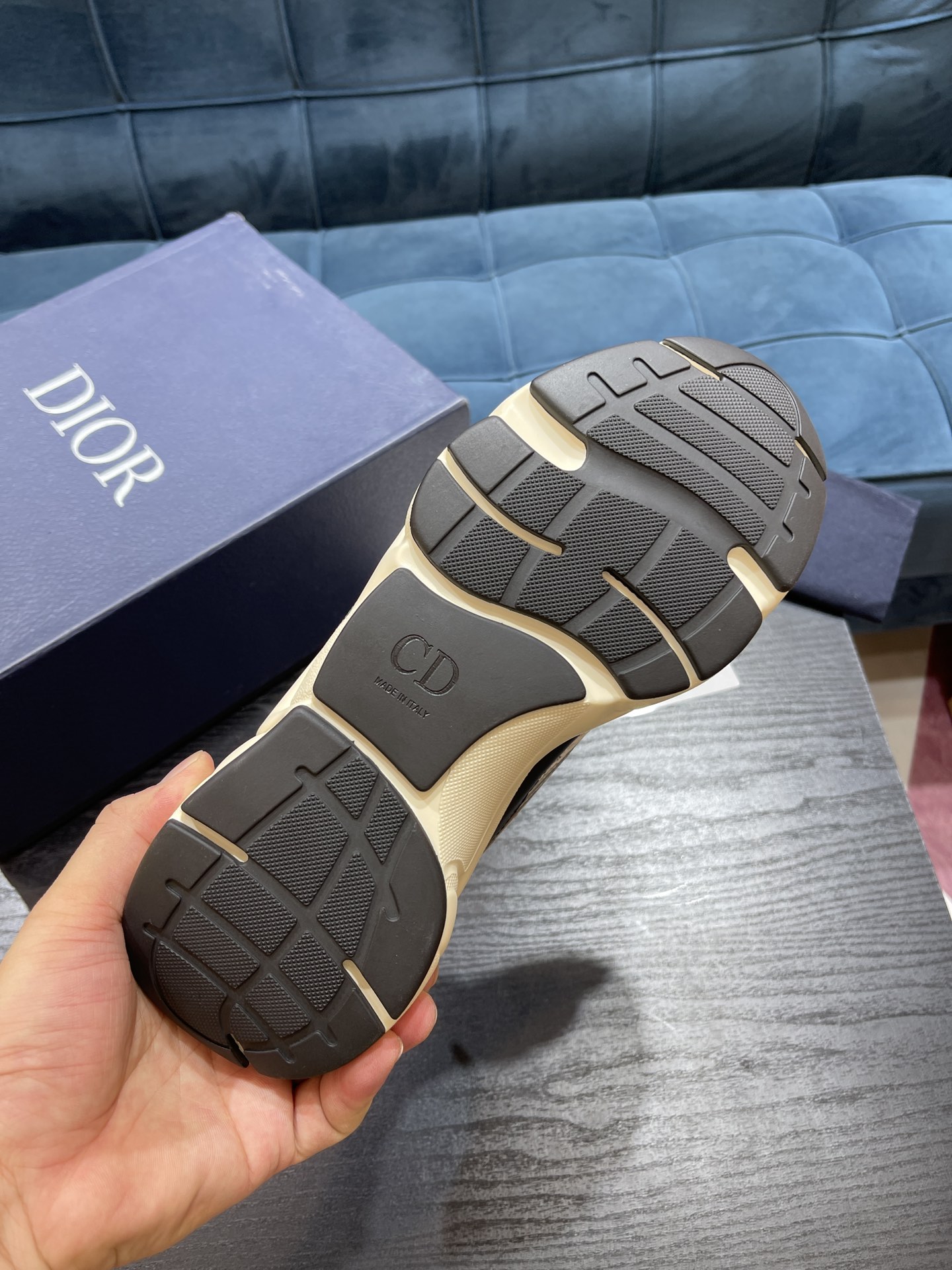 DIOR B22