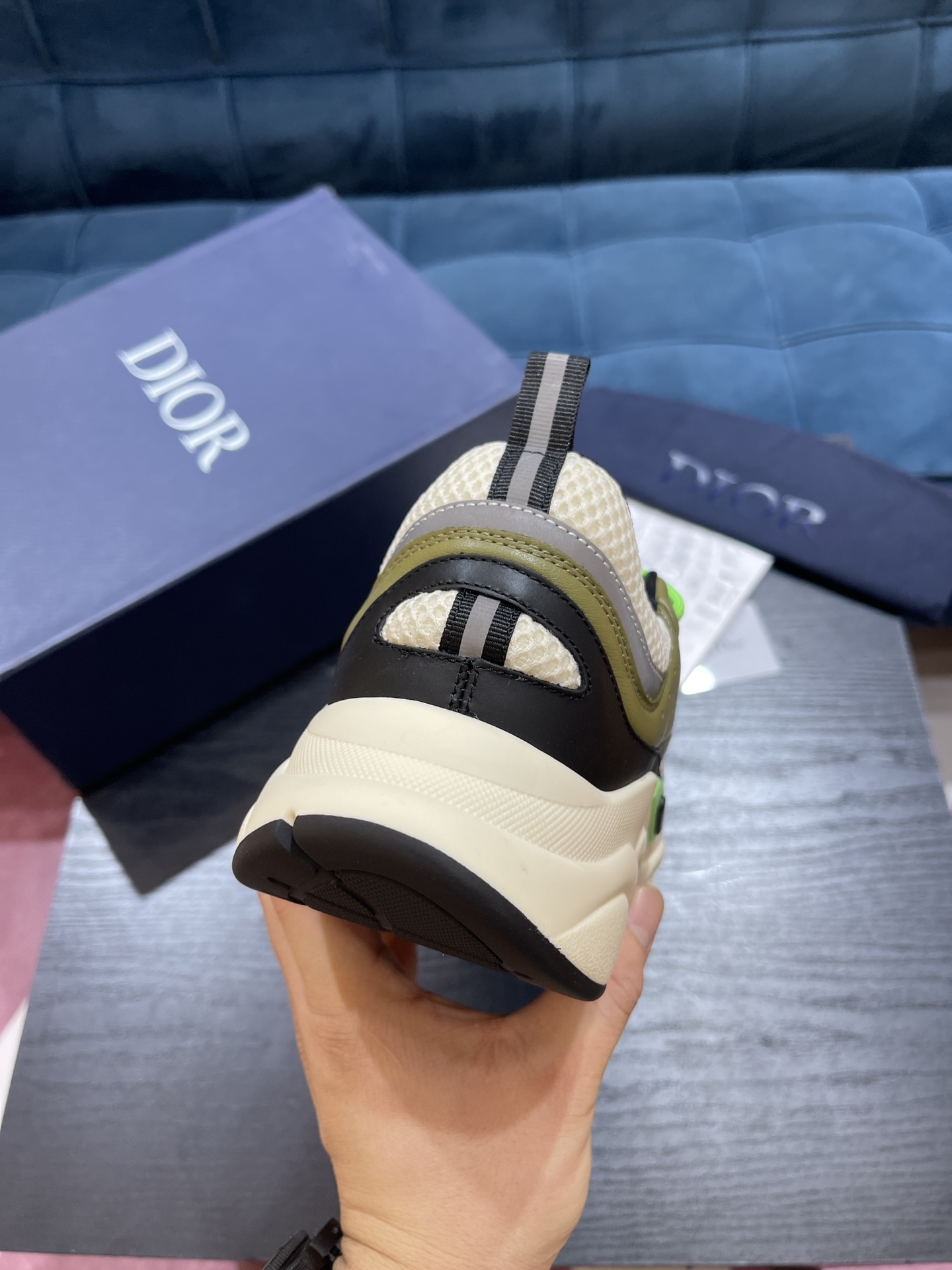 DIOR B22