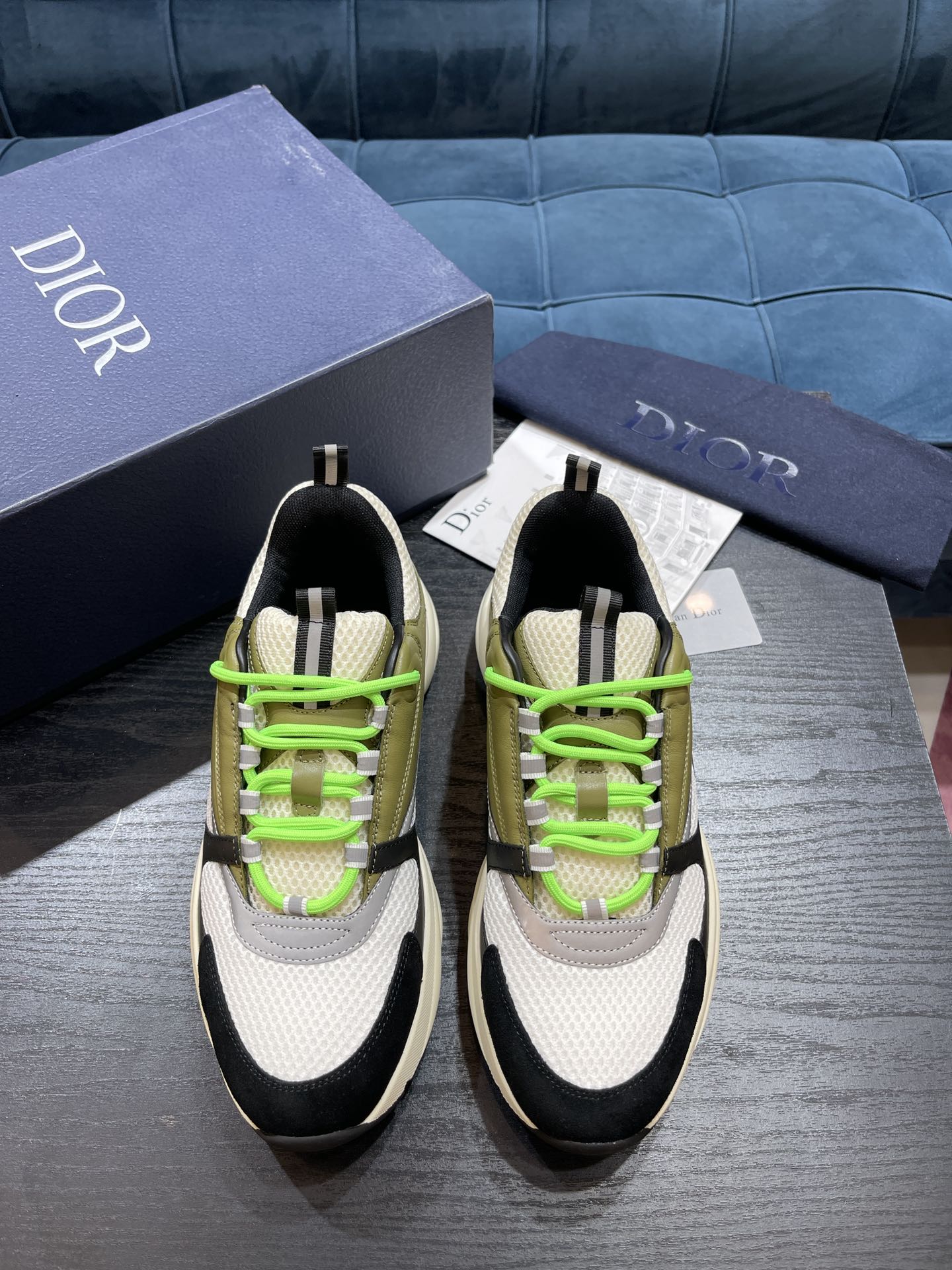 DIOR B22