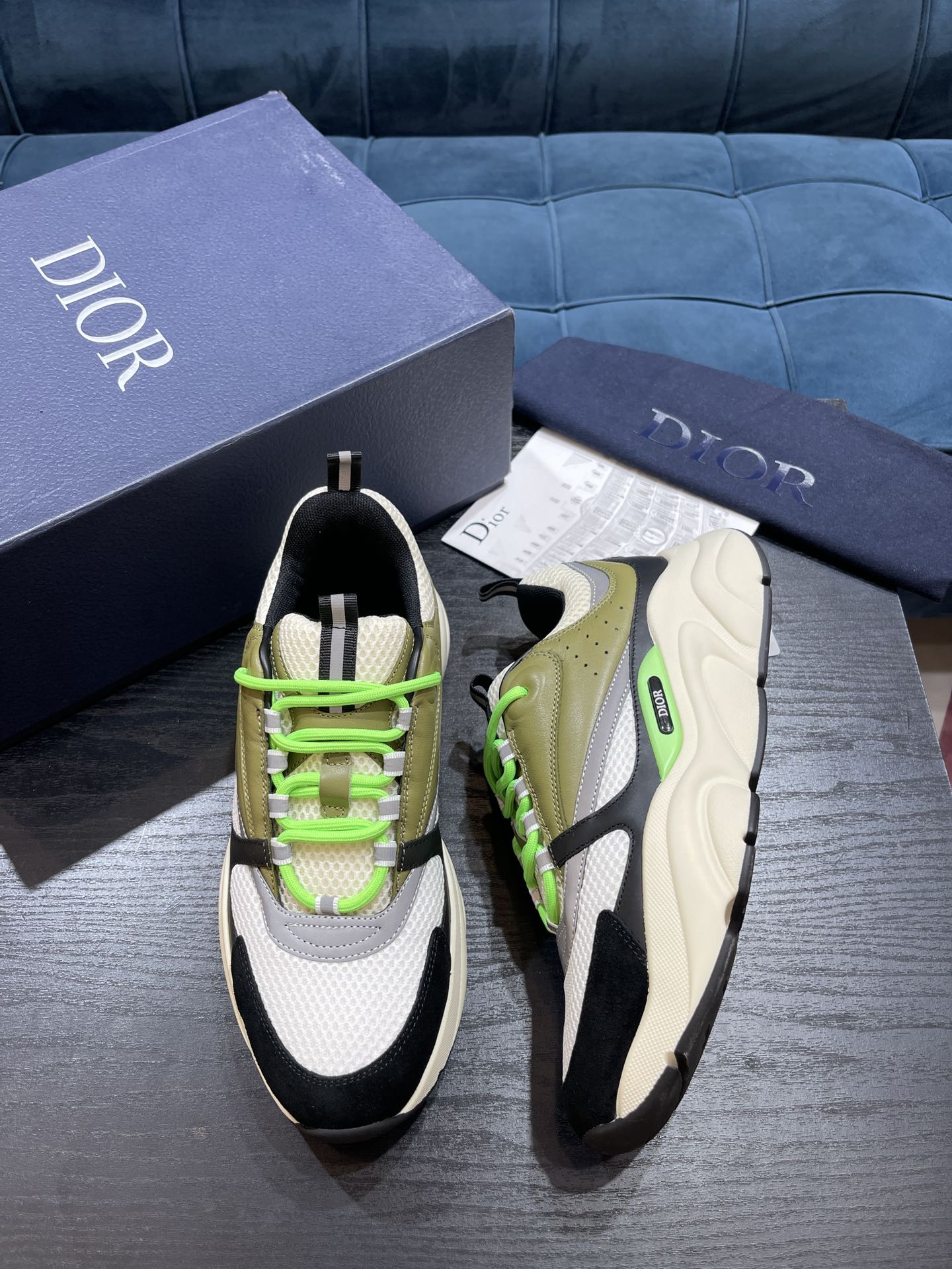 DIOR B22