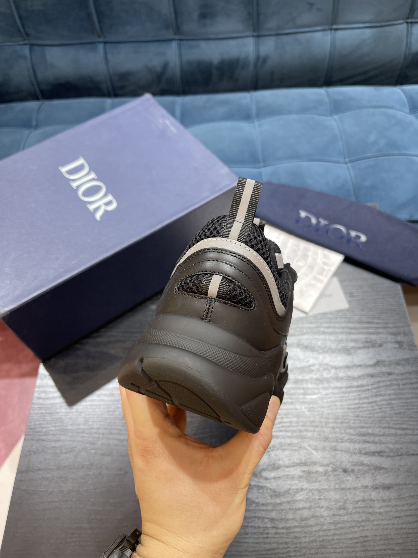 DIOR B22