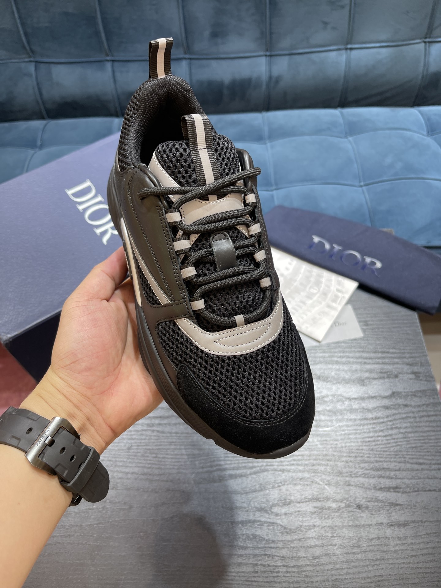 DIOR B22