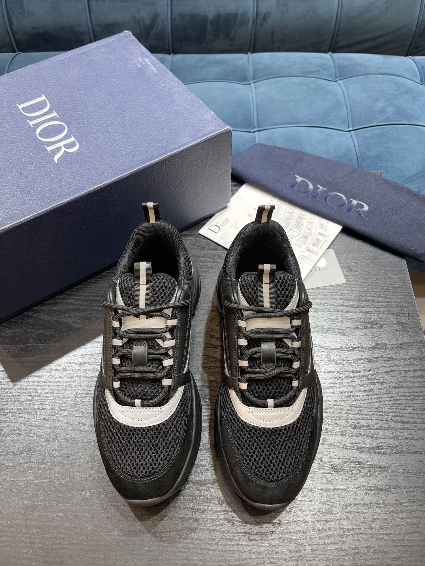 DIOR B22