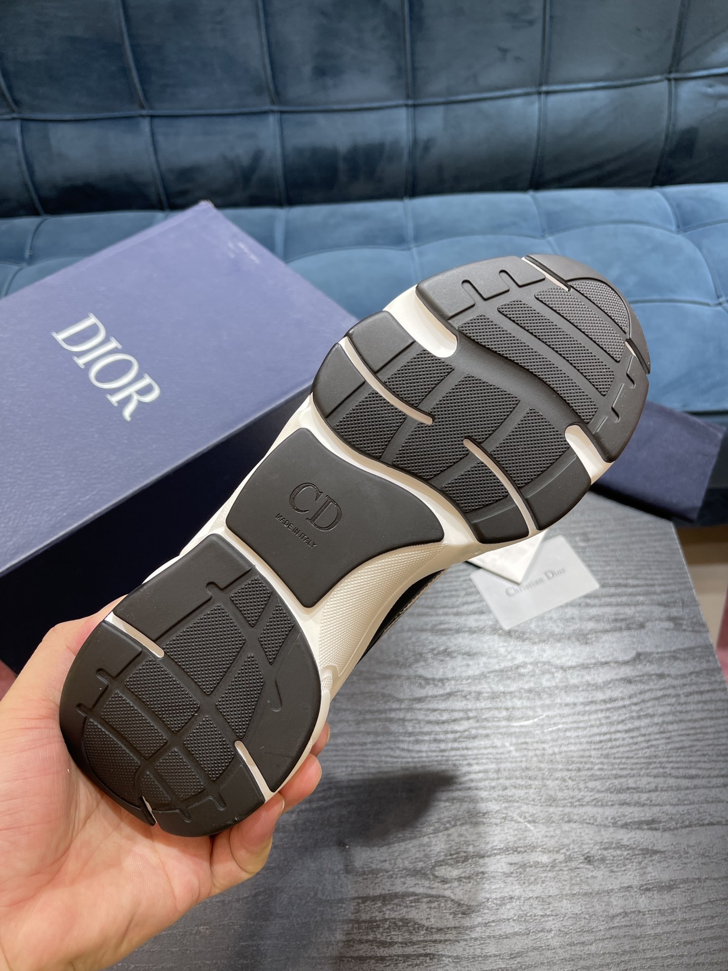 DIOR B22