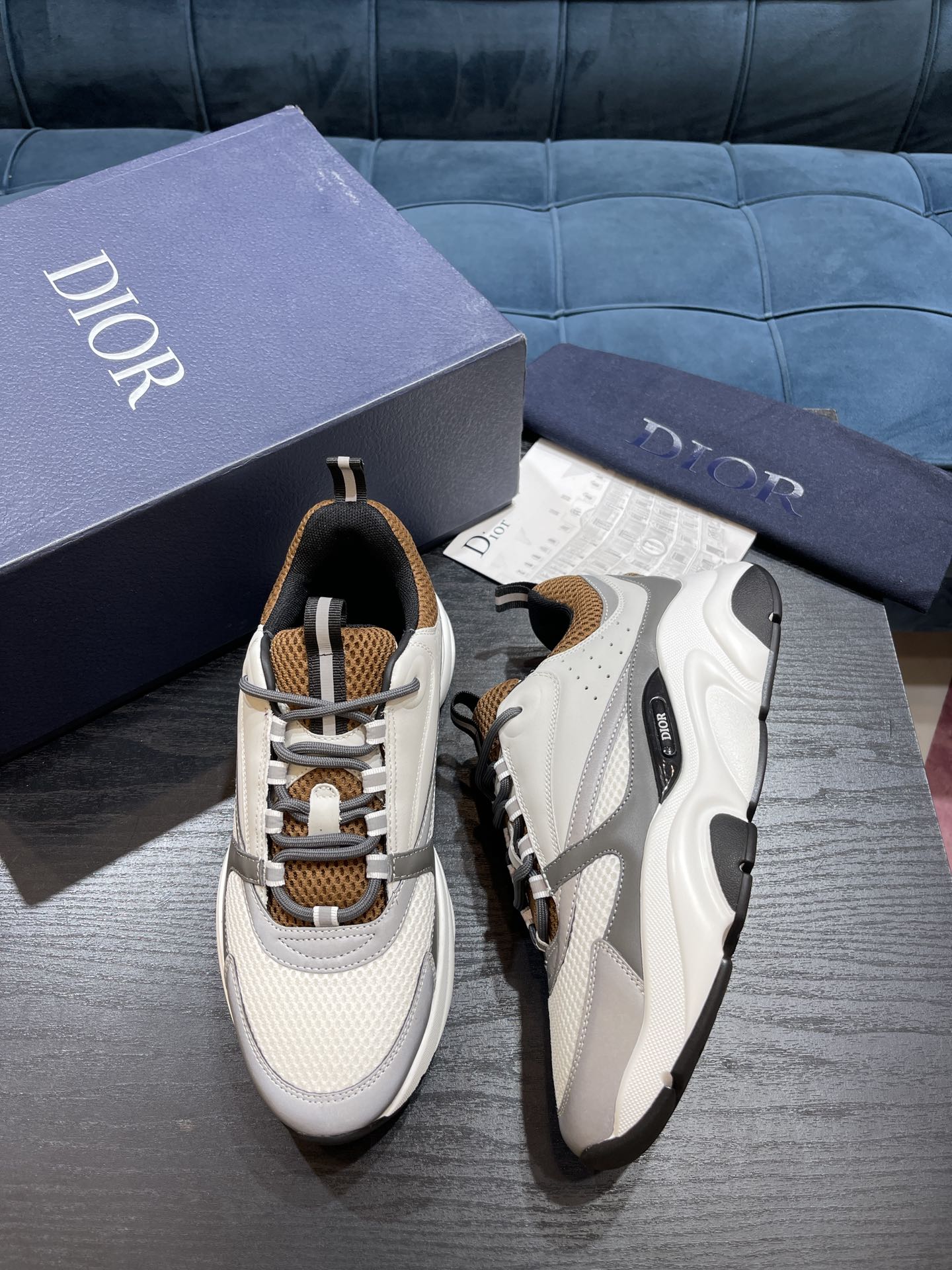 DIOR B22