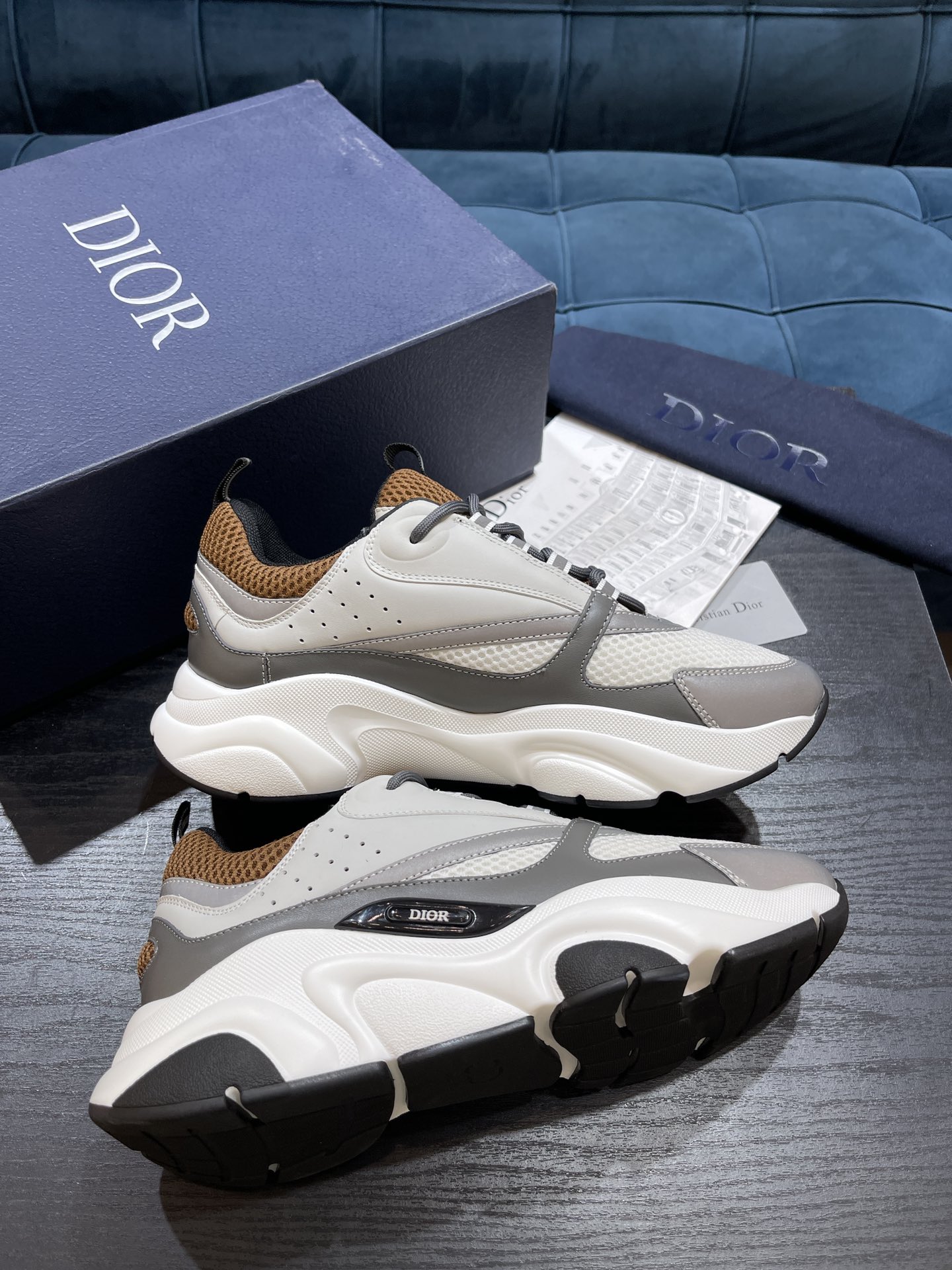 DIOR B22