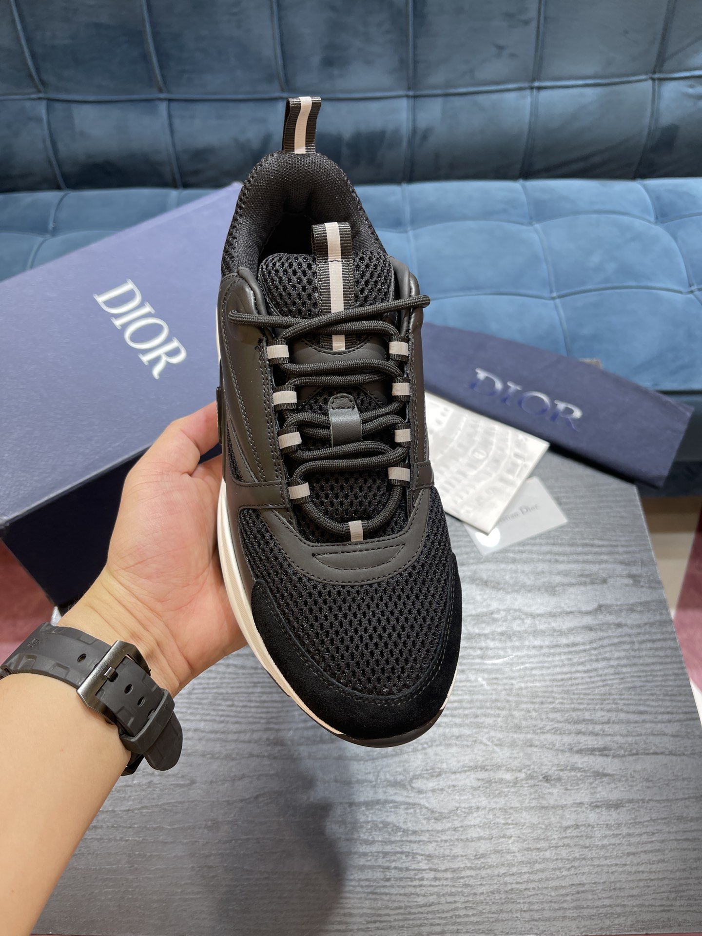 DIOR B22