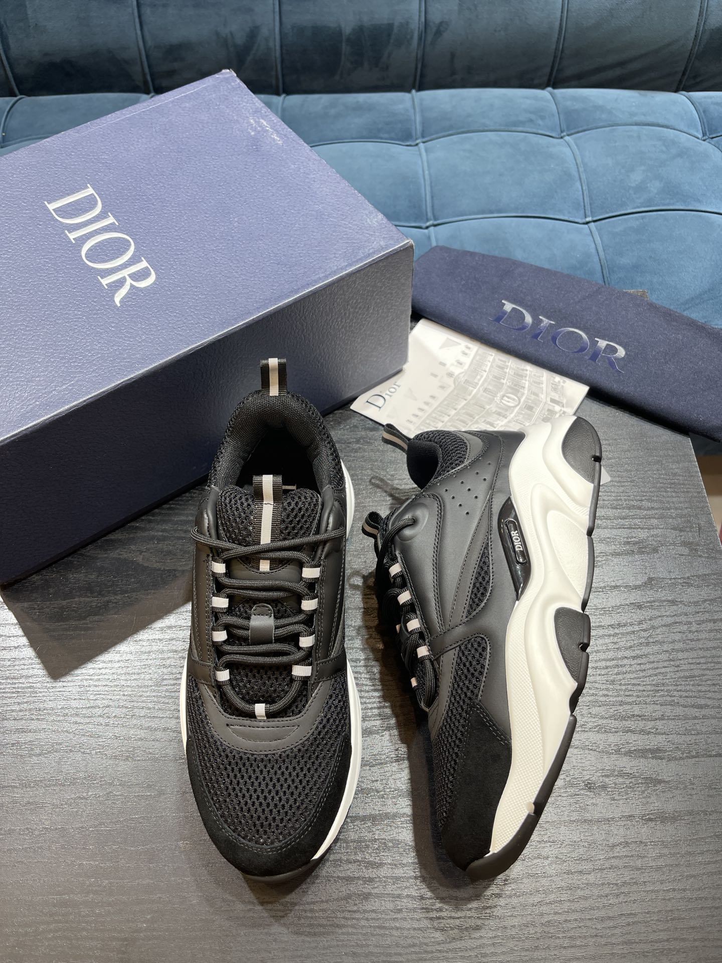 DIOR B22