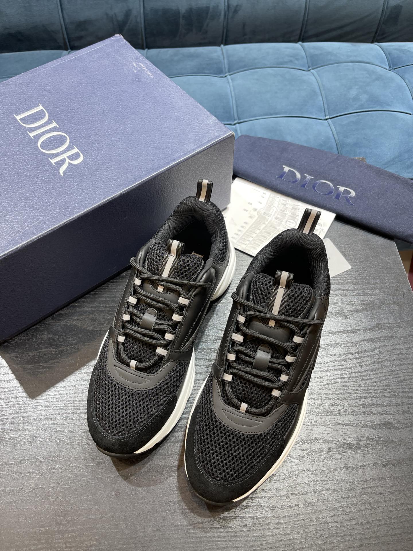 DIOR B22