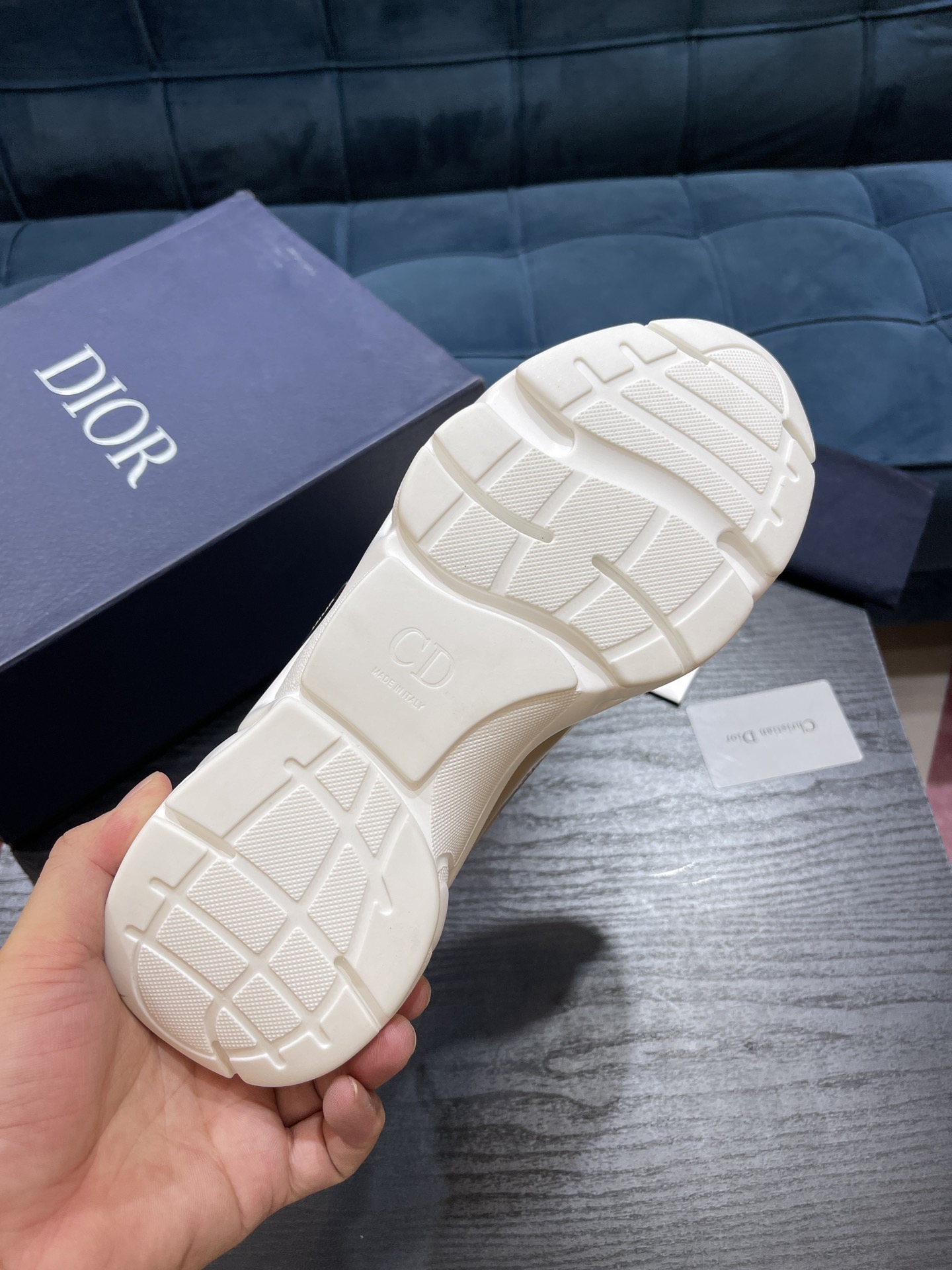 DIOR B22